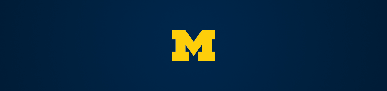 FanWord header image