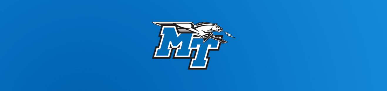 FanWord header image