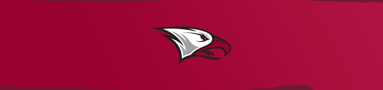 FanWord header image