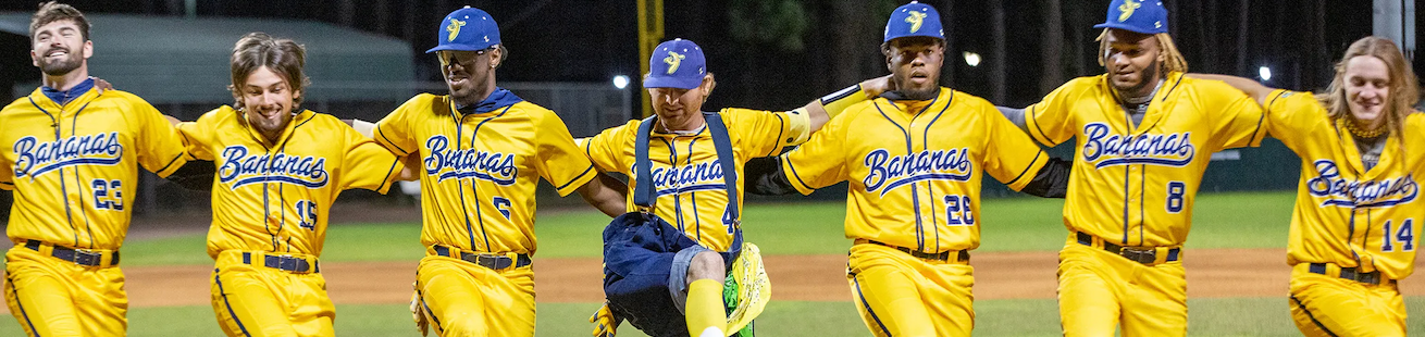 FanWord header image